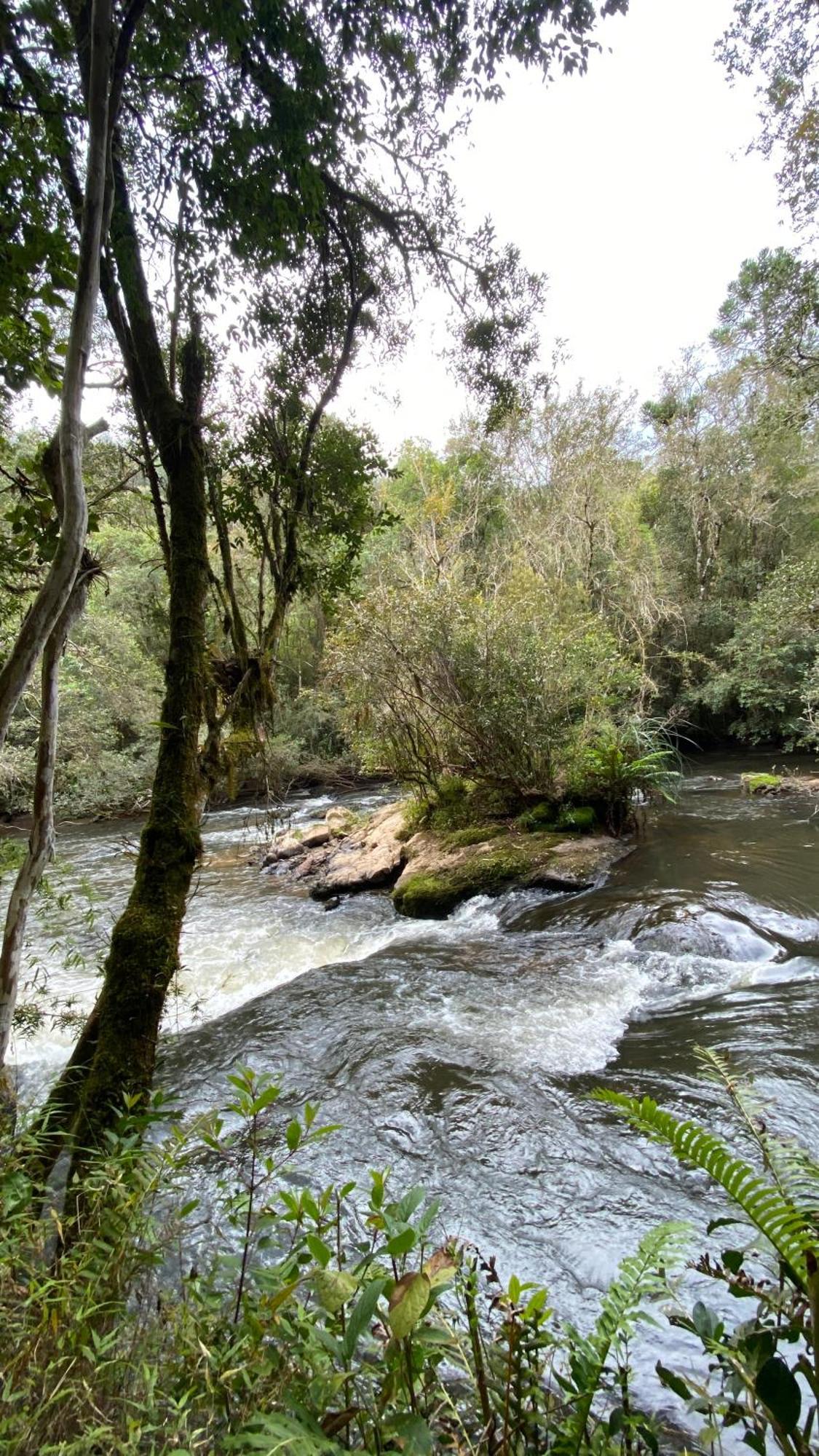 Отель Pousada Recanto Do Saua - Monte Verde Монти-Верди Экстерьер фото